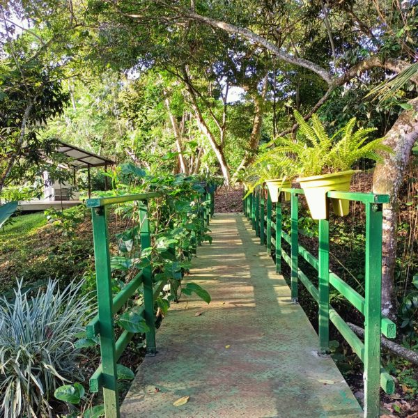 Casa Vacacional La Aguadita - Image 5