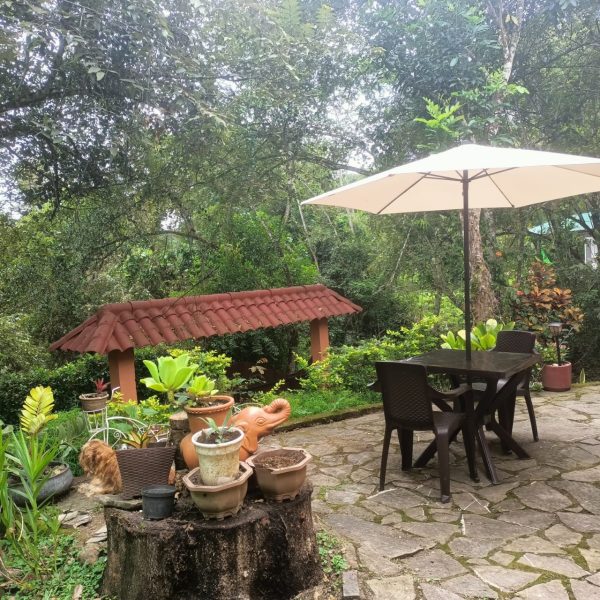Casa Vacacional La Aguadita - Image 8